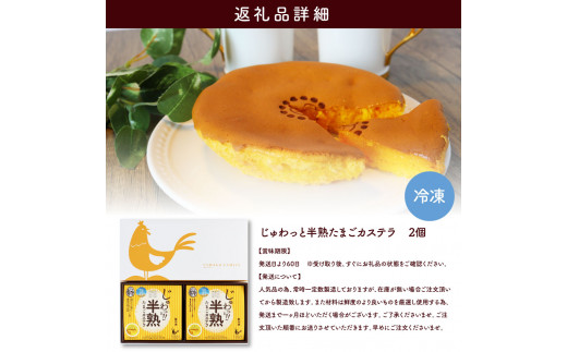 TKA016　じゅわっと半熟たまごカステラ もっちりとろける食感と、コクのあるたまごの風味がクセになる半熟卵カステラ 2個入り 個包装 高知 返礼品 スイーツ 人気 お土産 お取り寄せ 冷凍 高級 お菓子 ギフト かわいい おしゃれ 玉子カステラ 贈答品 贈り物