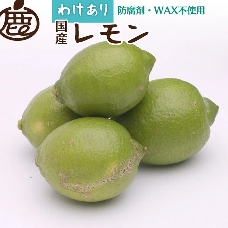 ＜9月より発送＞家庭用 レモン2.5kg+250g（傷み補償分）【和歌山有田産】【防腐剤・WAX不使用、安心の国産レモン】【わけあり・訳ありレモン】 ※北海道・沖縄・離島への配送不可 ※2025年9月中旬～2026年4月下旬頃に順次発送予定