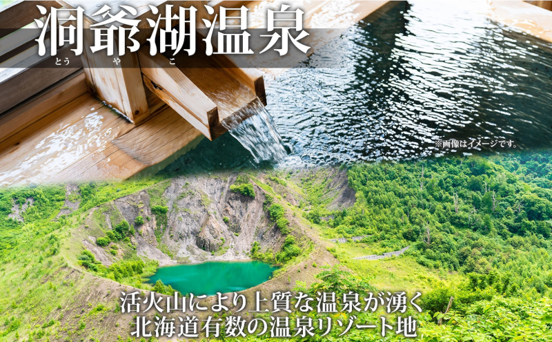 洞爺湖温泉感謝券 5000円 分 金券 クーポン 洞爺湖 湖 温泉 リゾート 有珠山 火山 自然 花火 イルミネーション 旅行 観光 宿泊 施設 北海道 within2025