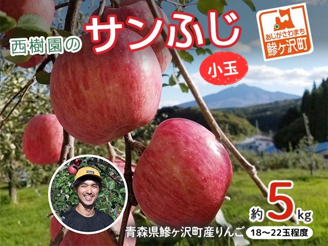 【青森県鰺ヶ沢町】りんご 訳あり 青森 サンふじ リンゴ 小玉 約 5kg (18〜22玉) 青森県 鰺ヶ沢町産 西樹園 フルーツ 果物 果物類 白神山地 林檎 サンフジ ふじ