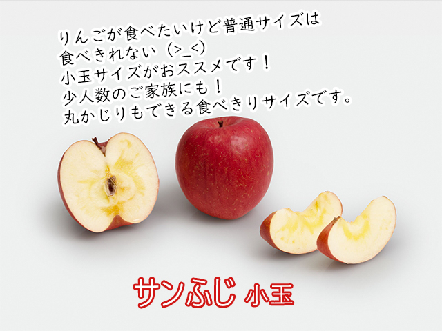 りんご 訳あり 青森 サンふじ リンゴ 小玉 約 5kg （18～22玉） 青森県 鰺ヶ沢町産 西樹園 フルーツ 果物 果物類 白神山地 林檎 サンフジ ふじ
