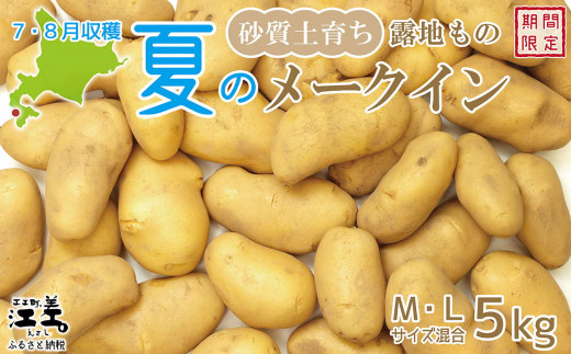 北海道江差町のふるさと納税 【お申込み順に出荷中】砂質土育ち「夏」メークイン M・L混合5kg　露地もの　手掘り　江差産メークイン　北海道のじゃがいも　芋の塩煮　肉じゃが　カレー　シチュー　コロッケ　色々なお料理に　北海道産