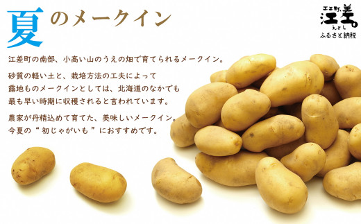 北海道江差町のふるさと納税 【お申込み順に出荷中】砂質土育ち「夏」メークイン M・L混合5kg　露地もの　手掘り　江差産メークイン　北海道のじゃがいも　芋の塩煮　肉じゃが　カレー　シチュー　コロッケ　色々なお料理に　北海道産