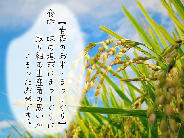 新米 定期便 3ヶ月 令和7年産 まっしぐら 無洗米 10kg (5kg×2袋) 米 白米 こめ お米 おこめ コメ ご飯 ごはん 令和7年 H.GREENWORK 3回 お楽しみ 青森 青森県 鯵ヶ沢町 