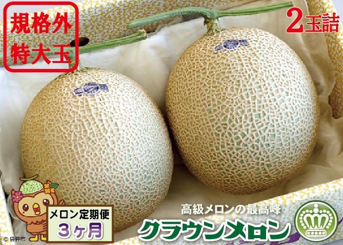 【静岡県袋井市】【3ヶ月定期便】クラウンメロン 規格外特大玉(約1.7kg)2玉入 果物類 メロン青肉