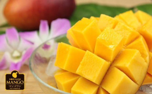 【 先行予約 2026年発送 】マンゴランのこだわりマンゴー秀品2キロ贈答用【極上！糖度１５度以上！】