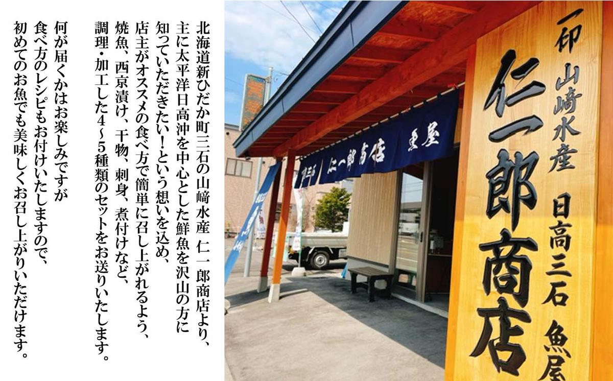 北海道新ひだか町のふるさと納税 北海道産 旬の魚介 4～5種 お楽しみ詰め合わせ セット