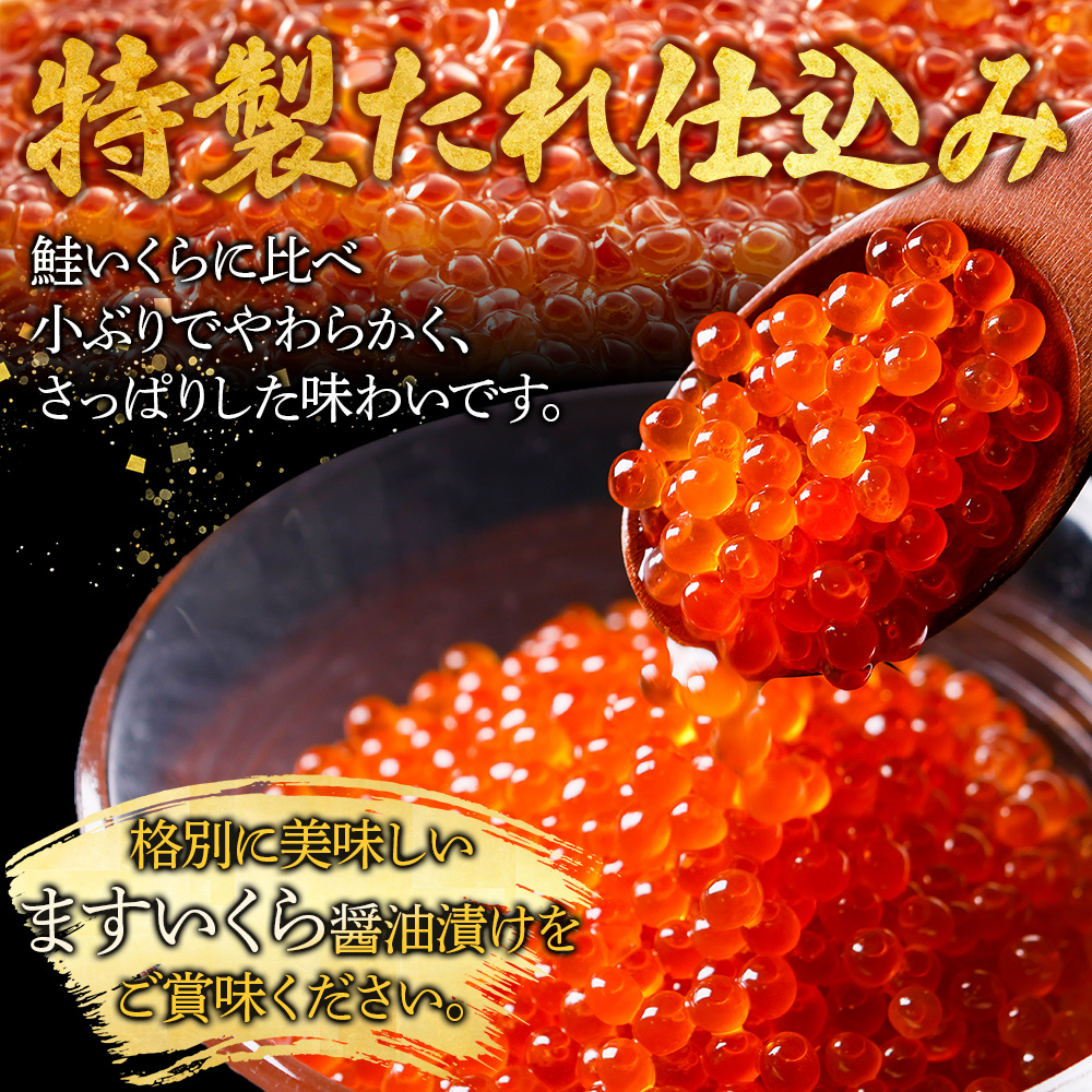 北海道弟子屈町のふるさと納税 【年末配送可能 受付9月まで】3401. 鱒いくら醤油漬け 計1kg 100g×10パック 鱒いくら いくら イクラ 醤油漬け 鱒 マス 魚卵 小分け 海鮮 送料無料 北海道 弟子屈町