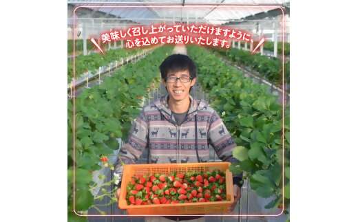 三重県多気町のふるさと納税 CN-01 多気町産 いちご （章姫）