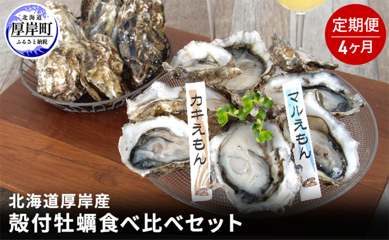 【北海道厚岸町】4か月 定期便 北海道 厚岸産 殻付牡蠣の食べ比べセット!(生食用)  牡蠣 カキ かき 生食 生食用 生牡蠣  食べ比べ 魚貝類