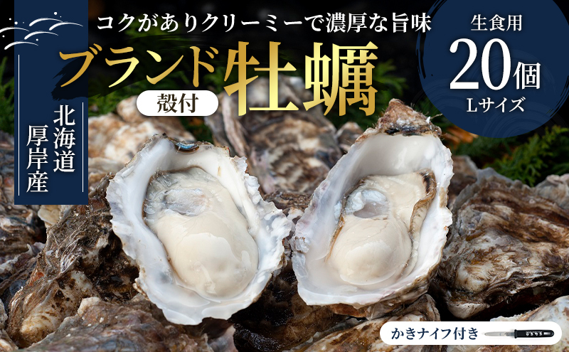 【北海道厚岸町】厚岸産 殻付カキLサイズ20個(生食用) 魚貝類 生牡蠣 かき 牡蠣 マルえもん メルマガ掲載商品2