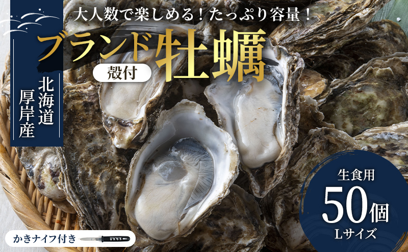 ykCݒzp[eB[p kC ݎYy LTCY50iڈF10lOj ӂ邳Ɣ[ kC y JL  H Hp y p[eB[ ~N L kty V[t[h }