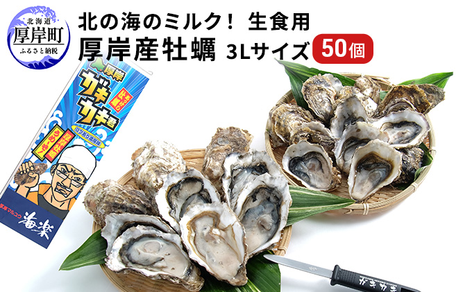 北の海のミルク！ 厚岸産 牡蠣 3Lサイズが50個！ 生食用 生牡蠣 貝付き牡蠣 貝 海鮮 魚介類 殻付き牡蠣 マルえもん メルマガ掲載商品3 