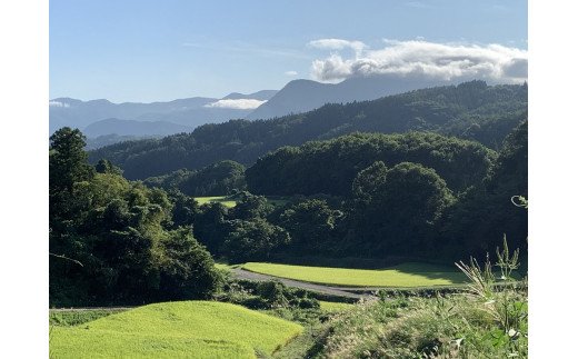 長野県飯綱町のふるさと納税 米 こしひかり 5kg × 6回 【 6か月 定期便 】( 令和7年産 ) ファームトヤ 沖縄県への配送不可 2025年10月上旬頃から順次発送予定 コシヒカリ 白米 精米 お米 信州 105000円 予約 農家直送 長野県 飯綱町 [1138]