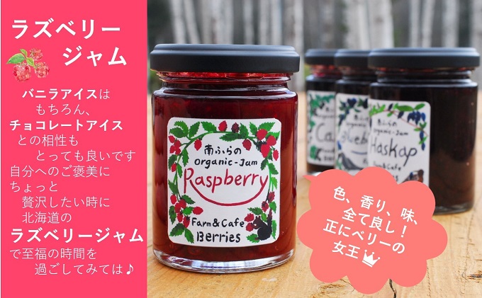 2種のベリー【カシス＆ラズベリー】手作りジャムセット 各2個 北海道 南富良野町 ジャム ベリー カシス ラズベリー ソース 果実 てんさい糖 無農薬 