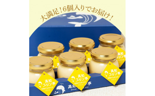 高知県芸西村のふるさと納税 TKA023　高知プリン亭 究極のなめらかプリンセット 6個入り プリン ぷりん 瓶 おしゃれ かわいい 美味しい 定番 人気 プレゼント ギフト 冷たいスイーツ 送料無料 お取り寄せ おすすめ デザート  お祝い 贈答 贈り物