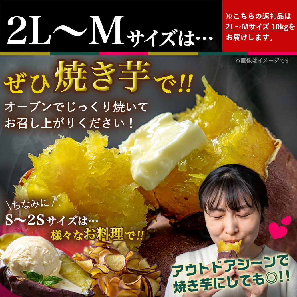 宮崎県都城市のふるさと納税 島津甘藷　熟成紅はるか 10kg(2L～M)_AA-A701