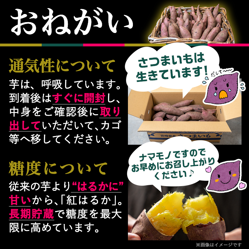 宮崎県都城市のふるさと納税 島津甘藷　熟成紅はるか 10kg(2L～M)_AA-A701