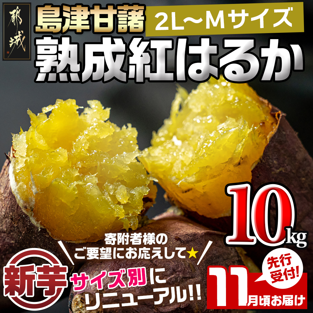 先行受付!【11月お届け】島津甘藷　熟成紅