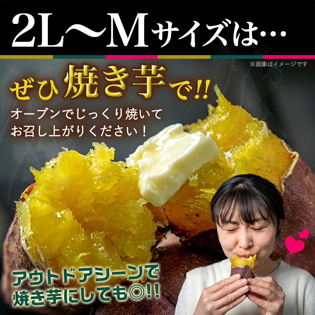宮崎県都城市のふるさと納税 先行受付!【11月お届け】島津甘藷　熟成紅はるか 10kg(2L～M)_AA-A701-11