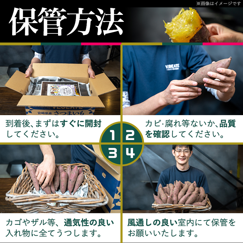 宮崎県都城市のふるさと納税 先行受付!【11月お届け】島津甘藷　熟成紅はるか 10kg(2L～M)_AA-A701-11