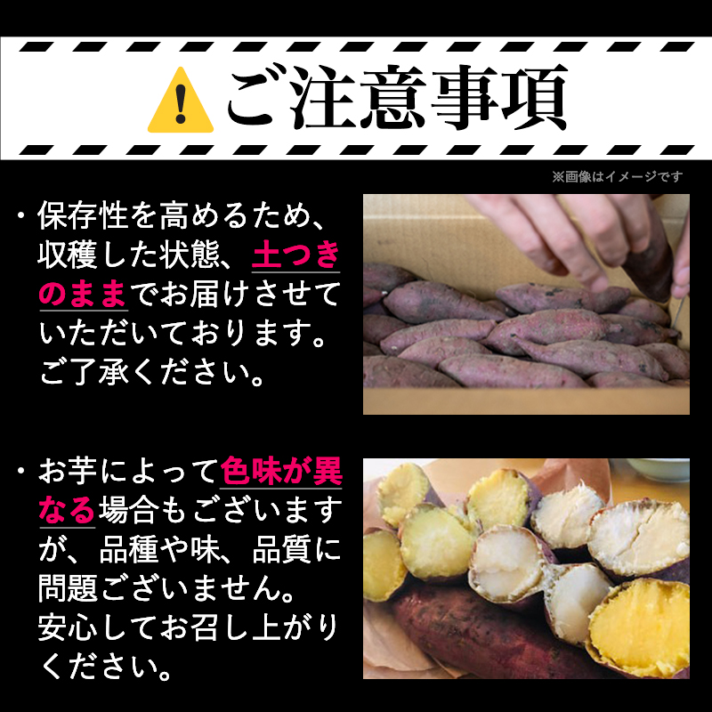 宮崎県都城市のふるさと納税 先行受付!【11月お届け】島津甘藷　熟成紅はるか 10kg(2L～M)_AA-A701-11