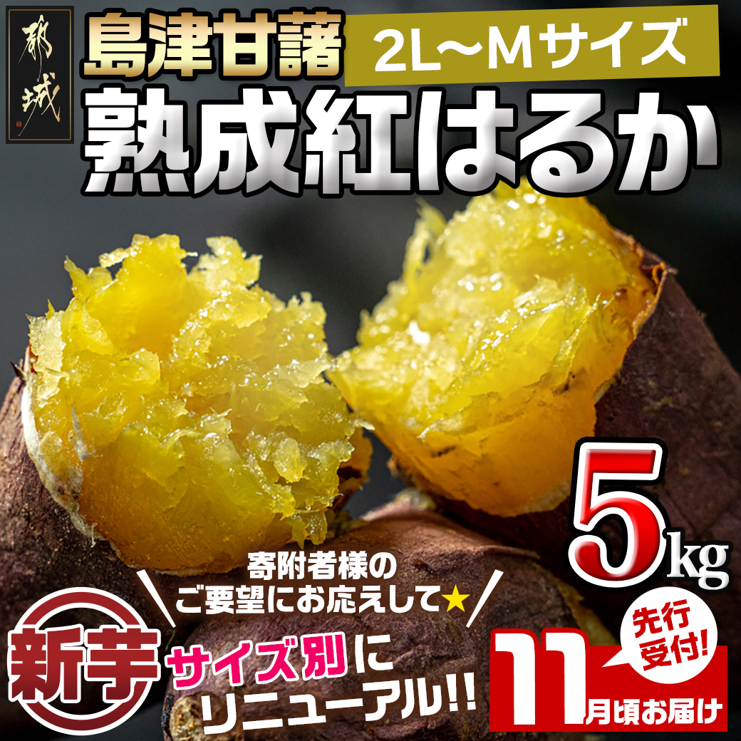 先行受付!【11月お届け】島津甘藷　熟成紅