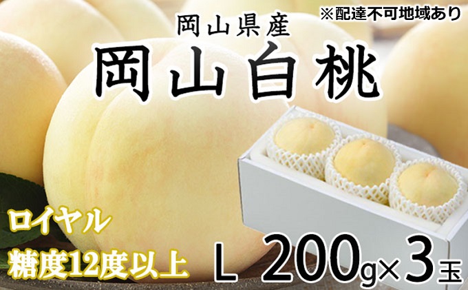 yRz 2026N s\ R  C 3×200giLTCYj JA  ̂iEj   RY Y t[c ʕ Mtg Â  Yn 蕨 x