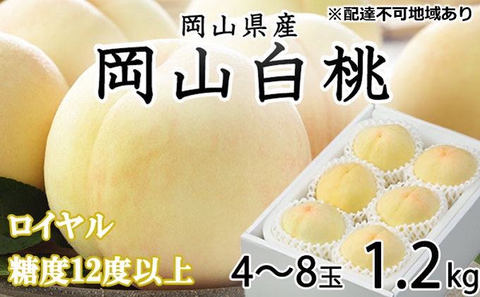 yRz 2026N s\ R  C 4`8 1.2kg JA  ̂iEj   RY Y t[c ʕ Mtg Â  Yn 蕨 x
