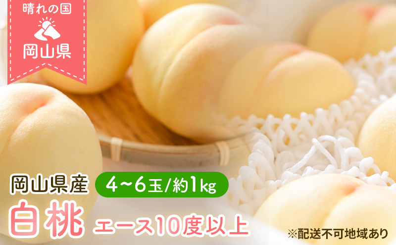 【岡山県玉野市】桃 2026年 先行予約 岡山 白桃 エース 4〜6玉 約1kg JA おかやま のもも(早生種・中生種) もも モモ 岡山県産 国産 フルーツ 果物 ギフト