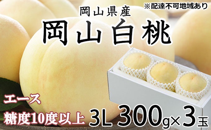 yRʖsz 2026N s\ R  G[X 3×300gi3LTCYj JA  ̂iEj   RY Y t[c ʕ Mtg Â  Yn 蕨 x
