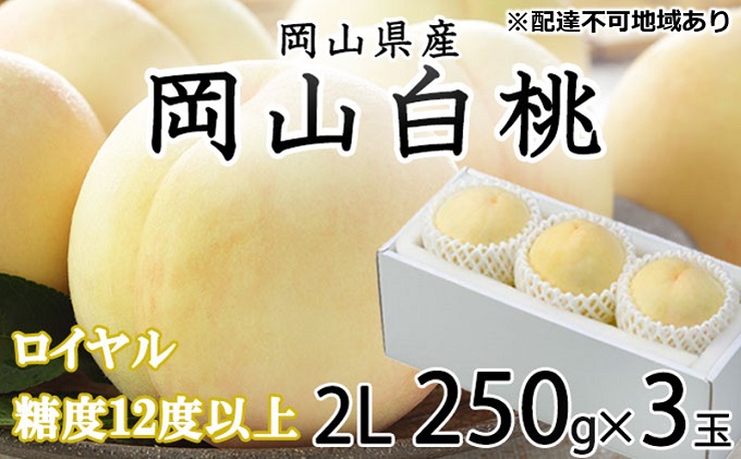 桃 2026年 先行予約 岡山 白桃 ロイヤル 3玉×約250g（2Lサイズ） JA おかやま のもも（早生種・中生種） もも モモ 岡山県産 国産 フルーツ 果物 ギフト 甘い 美味しい 産地直送 贈り物 高糖度 