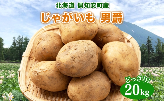 新ジャガイモ2種食べ比べ20kg 49deb411ea465858d12b6e2a6ce5db