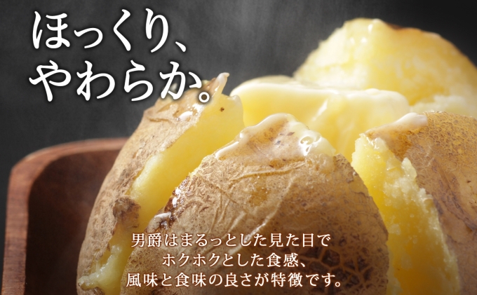 （レムリアン）①男しゃくジャガイモ北海道産 20キロ 送料込み 北海道産 じゃがいも 男爵 約20kg じゃが芋 ジャガイモ 芋 いも