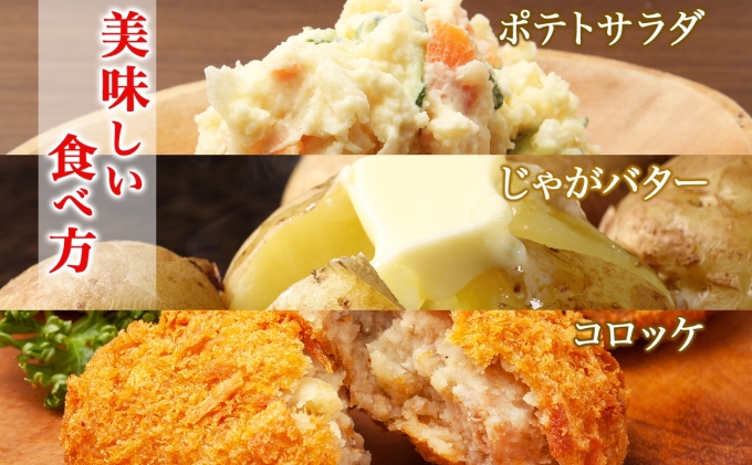 （レムリアン）①男しゃくジャガイモ北海道産 20キロ 送料込み 北海道産 じゃがいも 男爵 約20kg じゃが芋 ジャガイモ 芋 いも