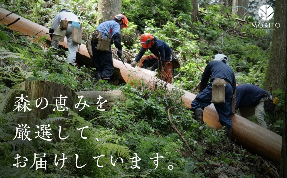 杉のキャンプテーブル／ ロー テーブル 折りたたみ 持ち手付き