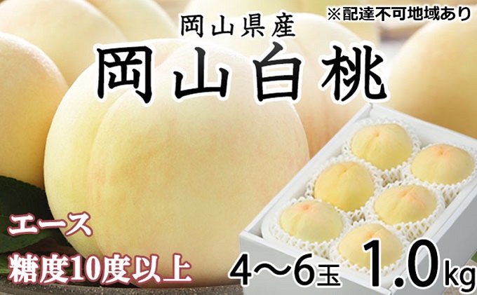 【岡山県瀬戸内市】桃 2026年 先行予約 岡山 白桃 エース 4〜6玉 約1kg JAおかやまのもも(早生種・中生種) もも モモ 岡山県産 国産 フルーツ 果物 ギフト
