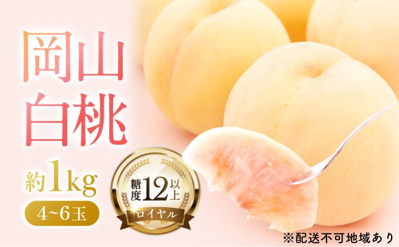 桃 2026年 先行予約 岡山 白桃 ロイヤル  約1kg 4～6玉 JAおかやまのもも（早生種・中生種） もも モモ 岡山県産 国産 フルーツ 果物 ギフト 