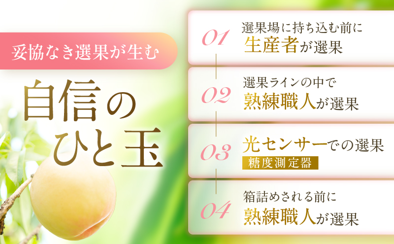 桃 2026年 先行予約 岡山 白桃 ロイヤル  約1kg 4～6玉 JAおかやまのもも（早生種・中生種） もも モモ 岡山県産 国産 フルーツ 果物 ギフト 