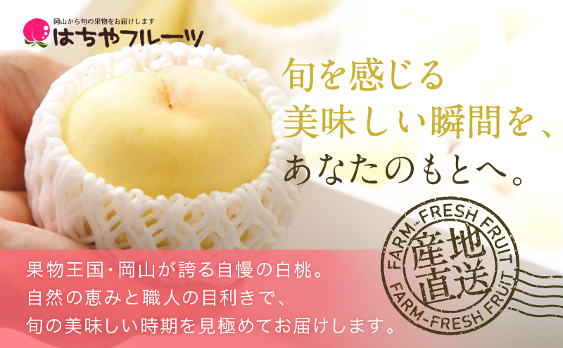 桃 2026年 先行予約 岡山 白桃 ロイヤル  約1kg 4～6玉 JAおかやまのもも（早生種・中生種） もも モモ 岡山県産 国産 フルーツ 果物 ギフト 