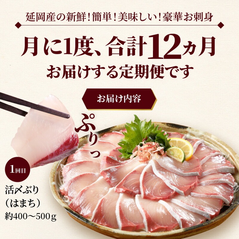 宮崎県延岡市のふるさと納税 【お楽しみ定期便】延岡産活〆鮮魚の豪華お刺身（12ヶ月定期便） N019-YYG0191