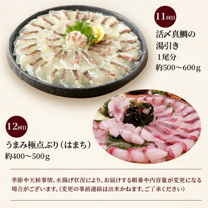 宮崎県延岡市のふるさと納税 【お楽しみ定期便】延岡産活〆鮮魚の豪華お刺身（12ヶ月定期便） N019-YYG0191