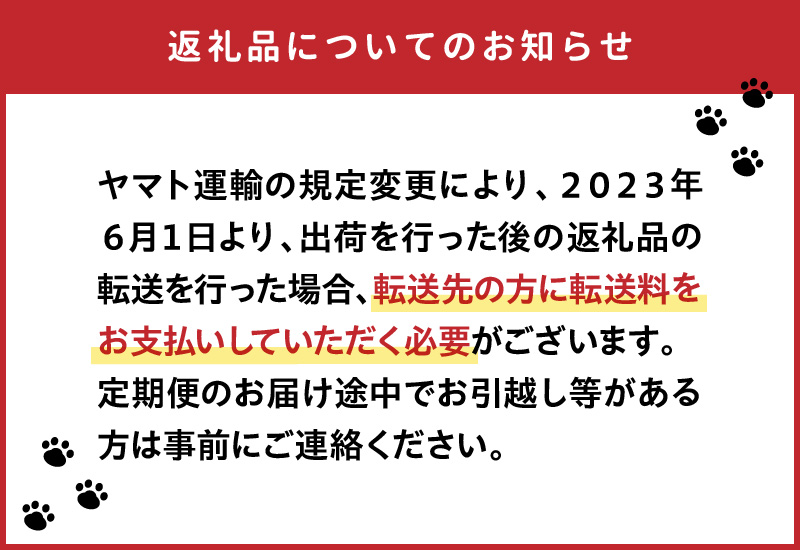 宮崎県延岡市のふるさと納税 【お楽しみ定期便】延岡産活〆鮮魚の豪華お刺身（12ヶ月定期便） N019-YYG0191