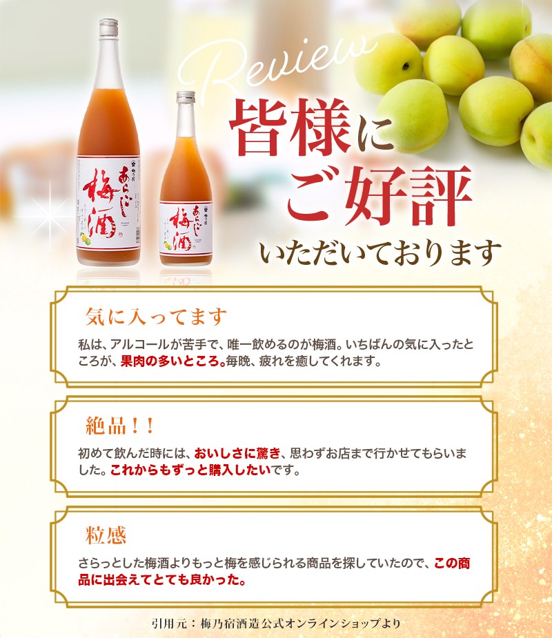 梅乃宿 あらごし梅酒 720ml ／ お酒 リキュール ギフト 贈り物