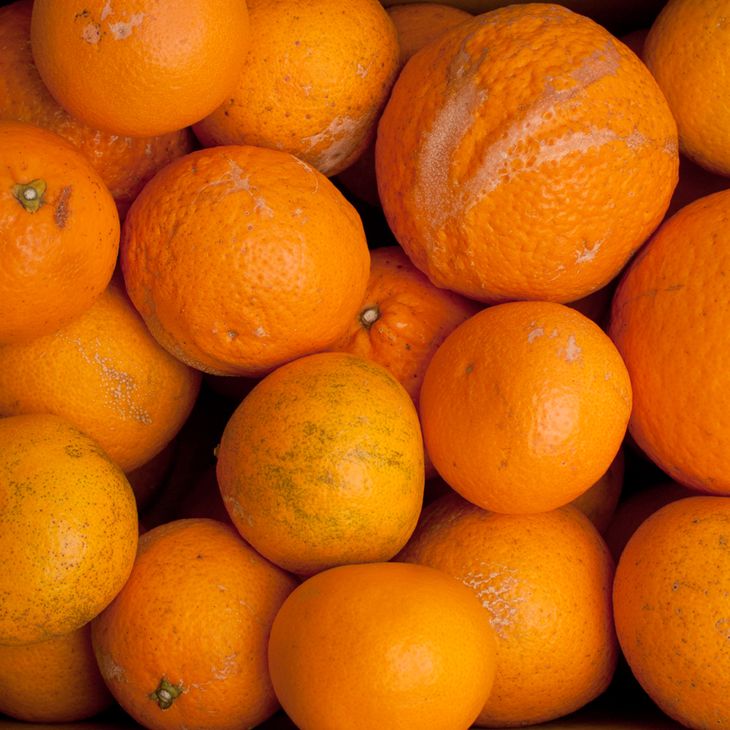 ＜2月より発送＞家庭用 清見オレンジ1kg+250g（傷み補償分）◇【光センサー食頃出荷】【樹上完熟きよみオレンジ・清見タンゴール・清美】【わけあり・訳あり】