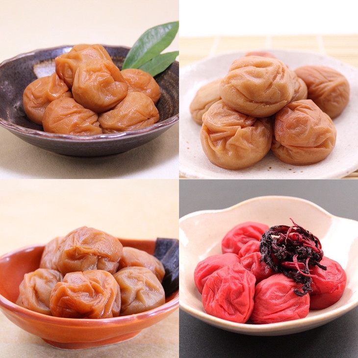 ya̎Rlza̎R@IB썂~@HהׂZbg@60×Sށ@y2z| 480g ݂͂ ԕ   I Y kCEEւ̔zs