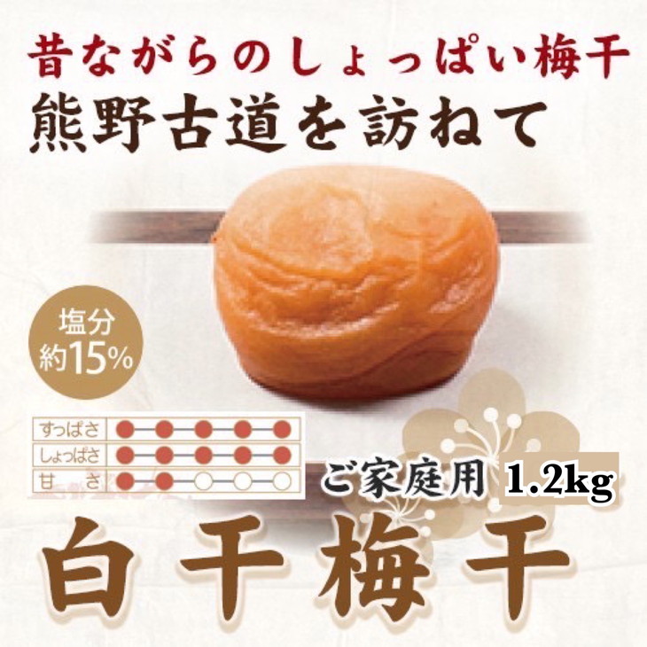 ya̎RlzIB썂~@~@1.2kg@ƒp | 1200g Y kCEEւ̔zs