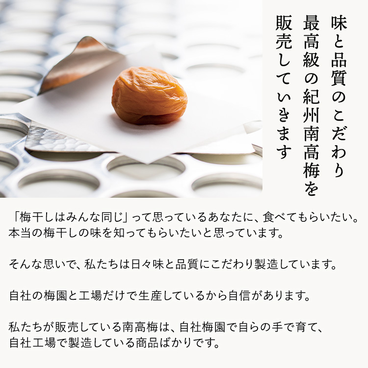 紀州南高梅　しそ風味梅干　500g　ご家庭用 | 国産 ※北海道・沖縄・離島への配送不可