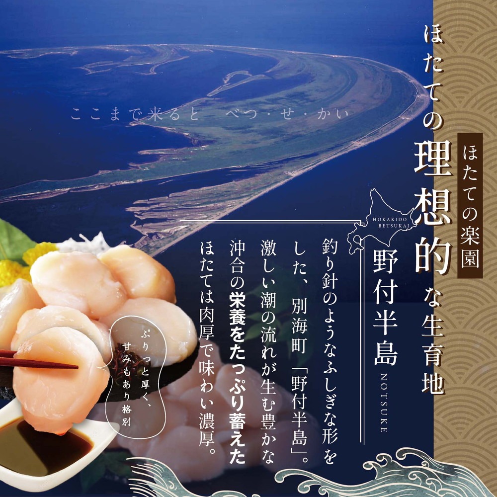 北海道別海町のふるさと納税 ホタテ の中の ほたて 野付の 帆立 を知り尽くす 野付漁協自ら加工だから 旨さ 訳あり ホタテ 送料無料 「野付産 冷凍 ホタテ 500g 大粒 」（ほたて ホタテ 帆立 ふるさと納税）
