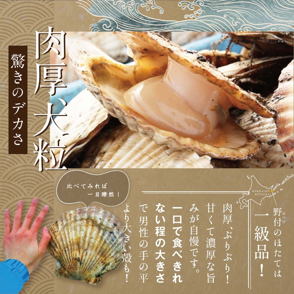 北海道別海町のふるさと納税 【ホタテ禁輸措置生産地支援品】 禁輸に負けない！ 食べ応え抜群！ 特大 ホタテ貝柱 500g 北海道野付産  野付の 帆立 を知り尽くす 野付漁協自ら加工だから 旨さ 訳あり ホタテ （ほたて ホタテ 帆立 貝柱 ホタテ貝柱 大玉 大粒 人気 大人気 おすすめ ランキング 北海道 別海 野付 ふるさと納税）